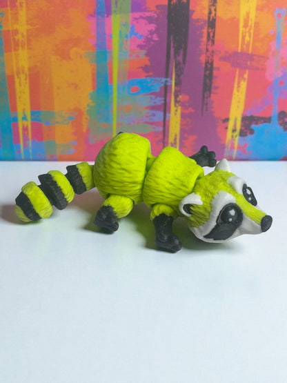 Racoon